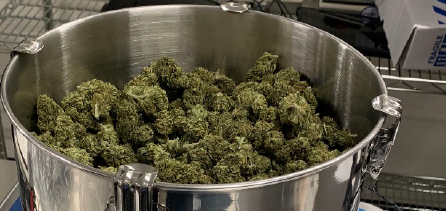 cannabis flower processing services